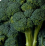 Broccoli .png